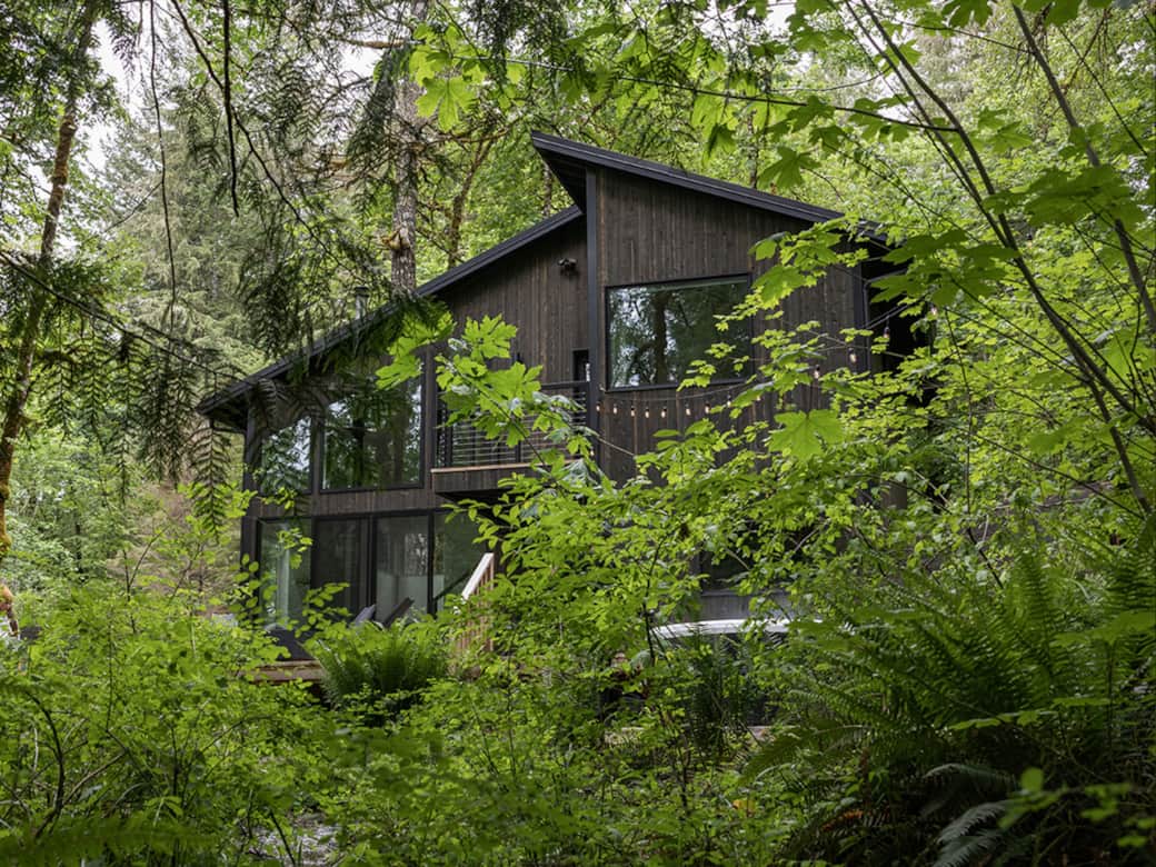 Immersive setting brings nature into the home Immersive setting brings nature into the home