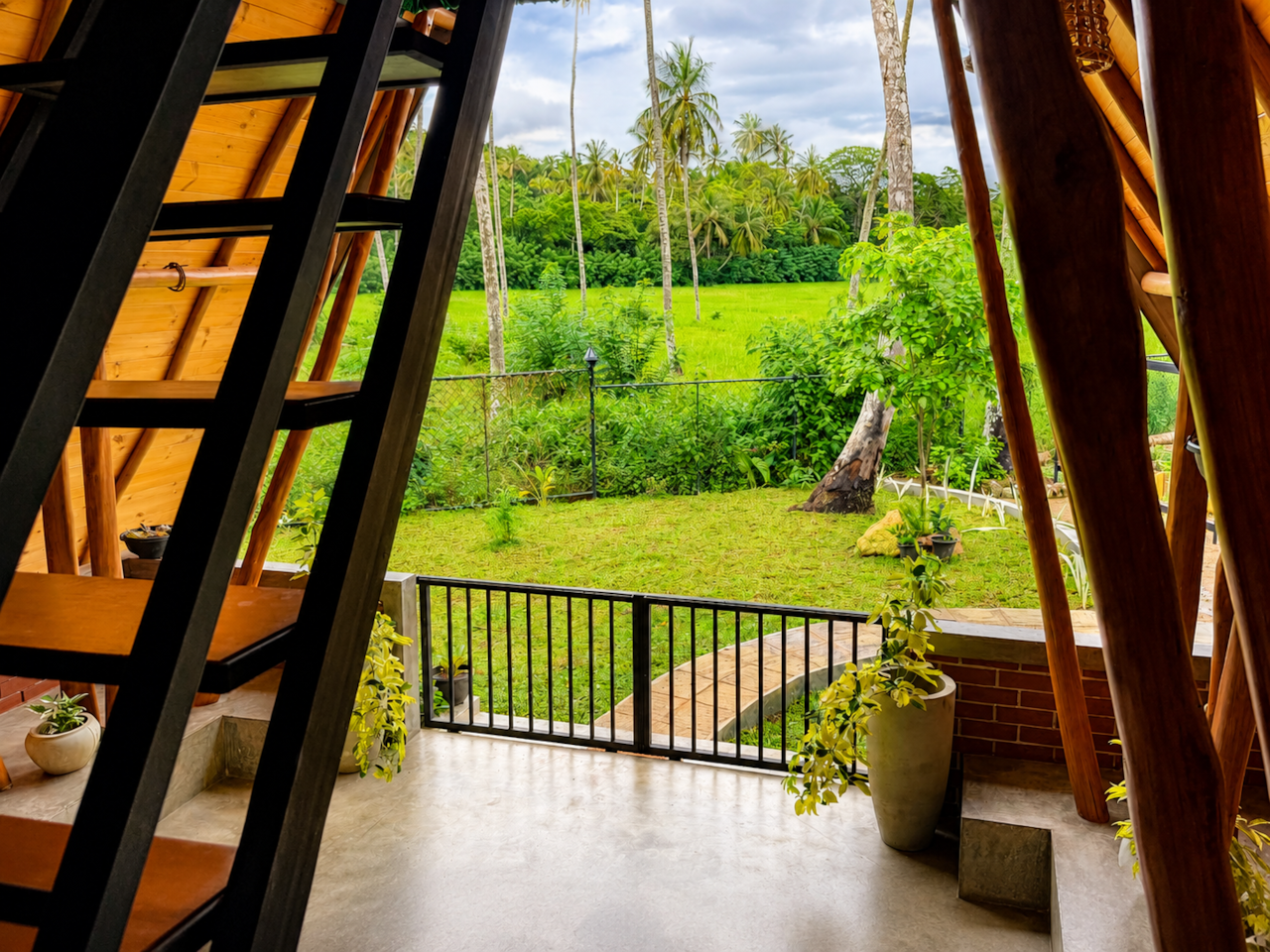 Green rice fields and palms beyond the cabana