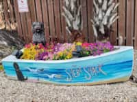 Sheba Shack