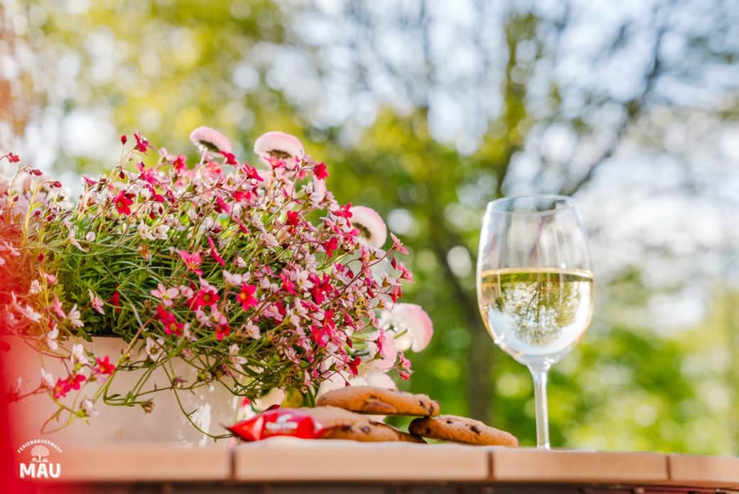 Ferienbauernhof Mau - Haus 6-2