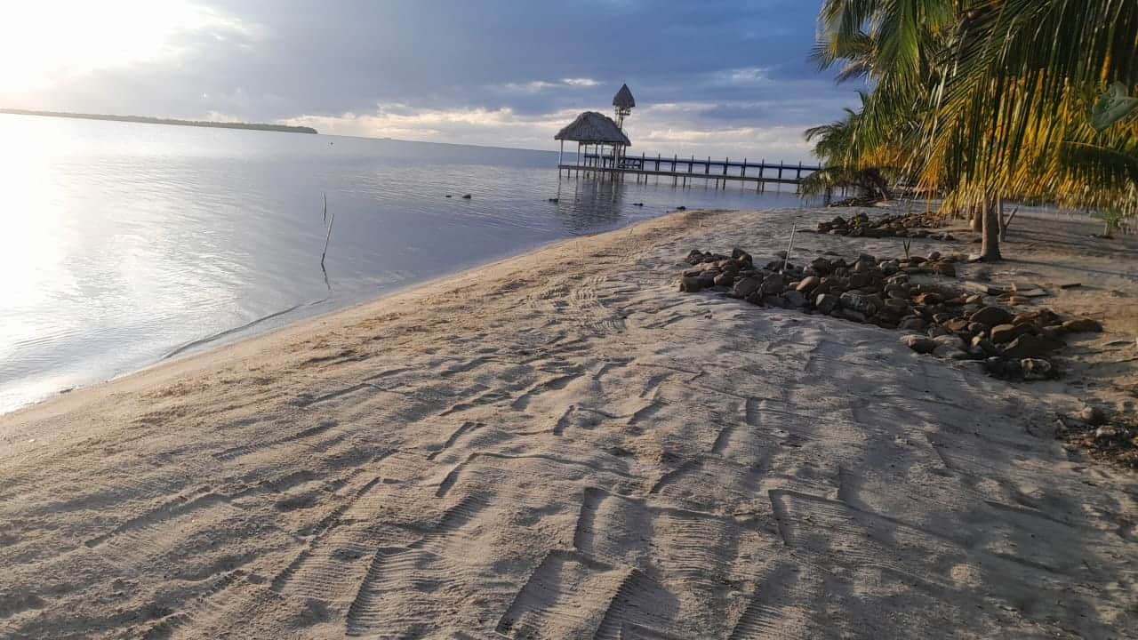 https://l.icdbcdn.com/oh/2a132b5b-d543-4033-8ba4-05d5ac0be1ac.jpg?w=2080-1