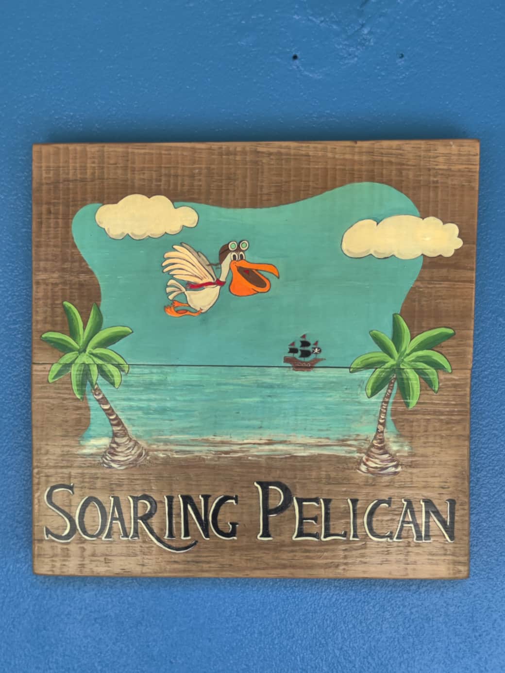 Soaring Pelican Soaring Pelican