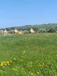 Image picker FBEEEB24 7CF4 426E 9CBF 4FB5CD74558D 67534 000056913026414E Image picker FBEEEB24 7CF4 426E 9CBF 4FB5CD74558D 67534 000056913026414E