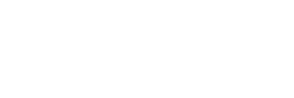 Platinum Properties