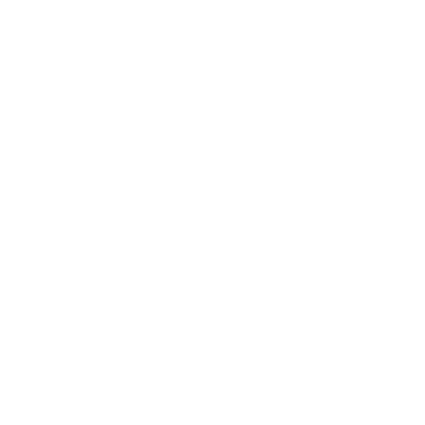 Stay with Us Collection