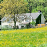 Rental image