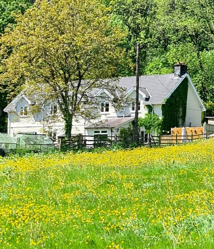 Rear of property