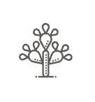 Villa Cactus Tenerife
