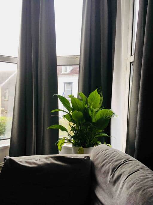 Ae8b805e 9f2c 4fe7 8f64 2d8ce03b4159