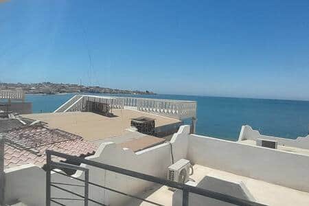 Seaside Studio Terrace 