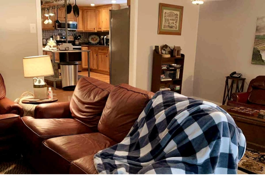 Comfortable Leather Sofas