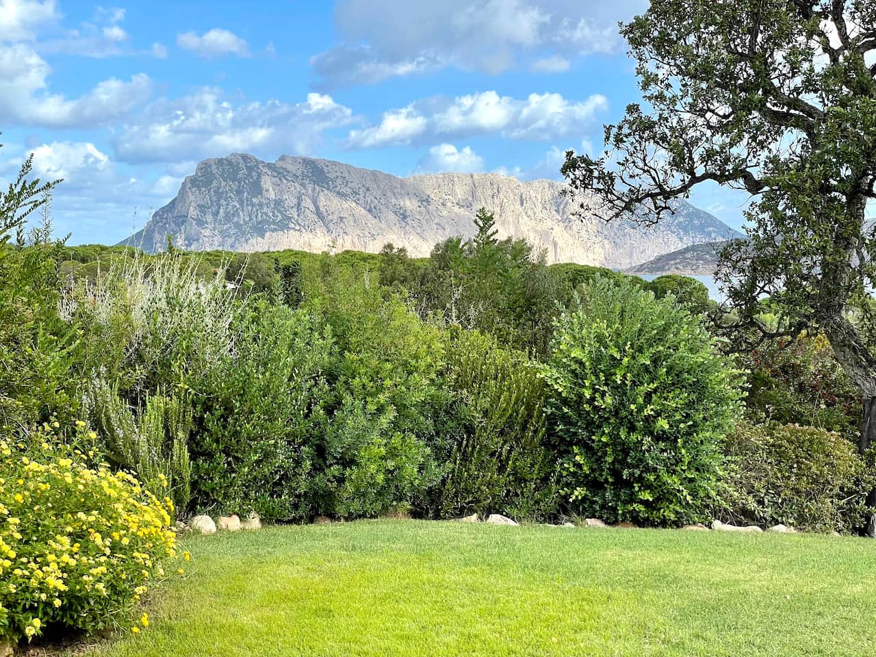 VUE SUR LE JARDIN DE TAVOLARA