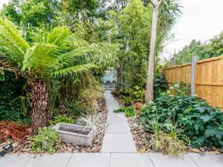Back garden