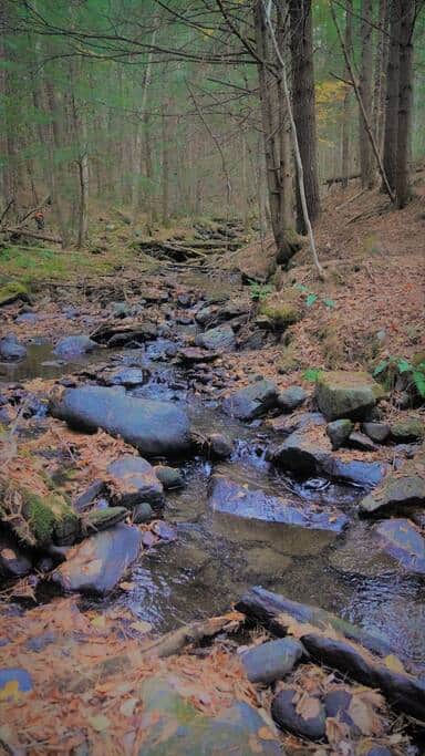 Brook flows all year round.