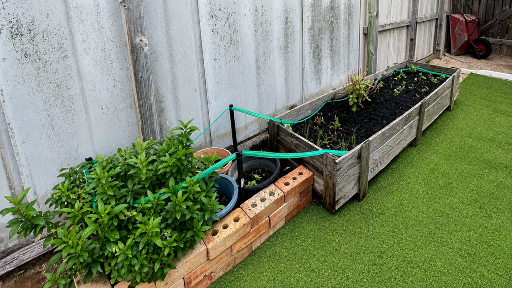 Fresh Herbs for Your Use - Help yourself to fresh herbs from the garden during your stay