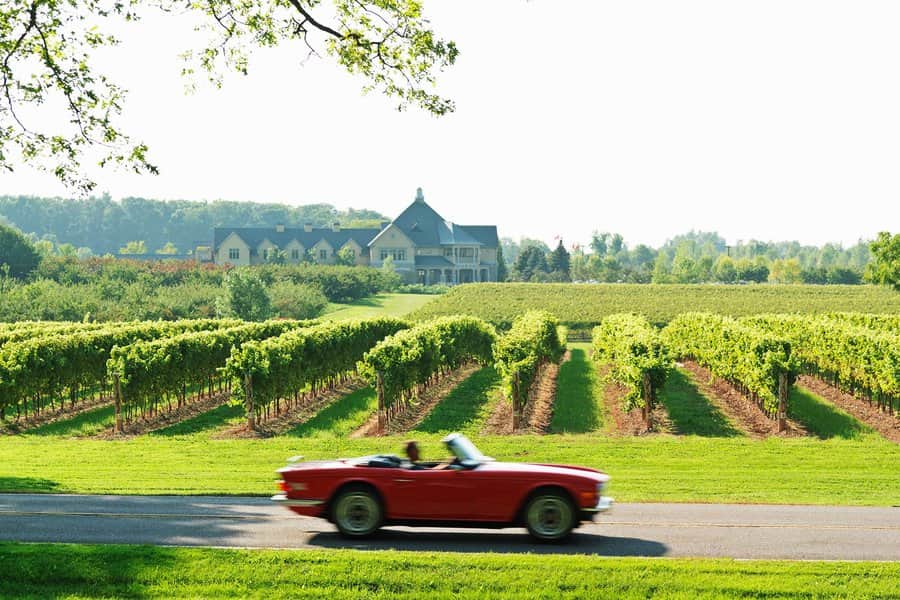 Wine Tours