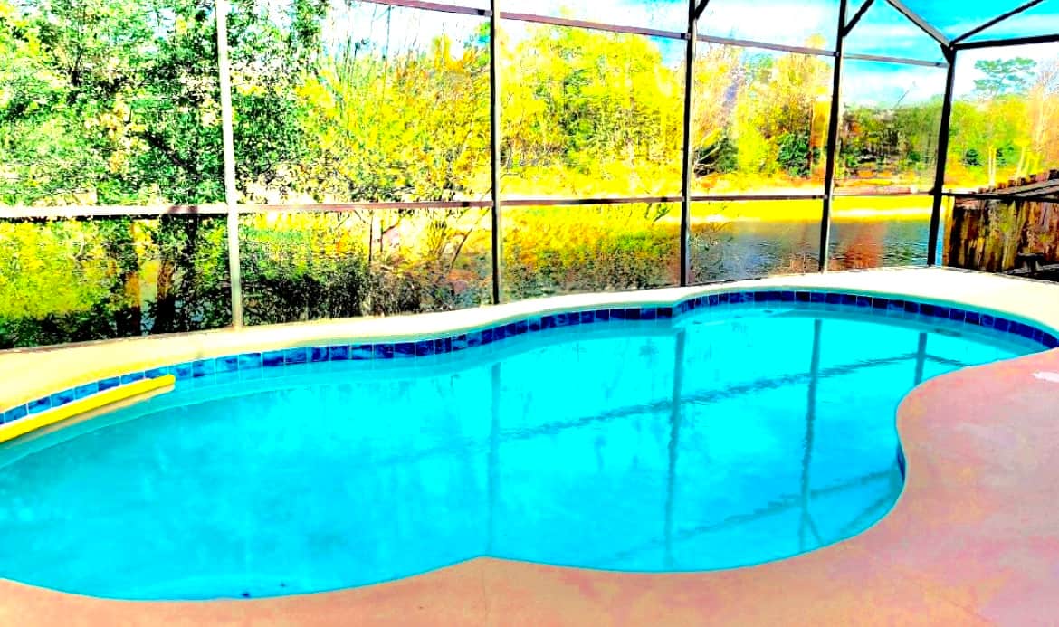 Private pool overlooking Conservation Nature reserve