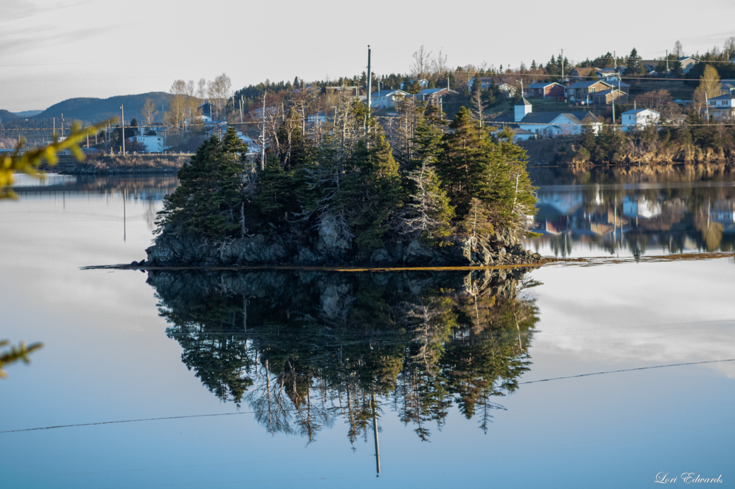 Burin Anchorage view