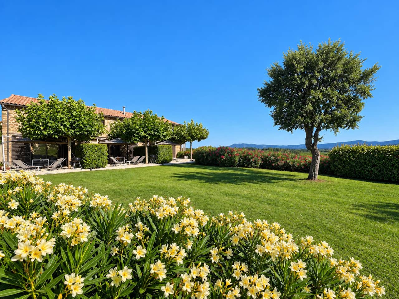 Gemeenschappelijke tuin met ruim grasveld, oleanders en kurkeik