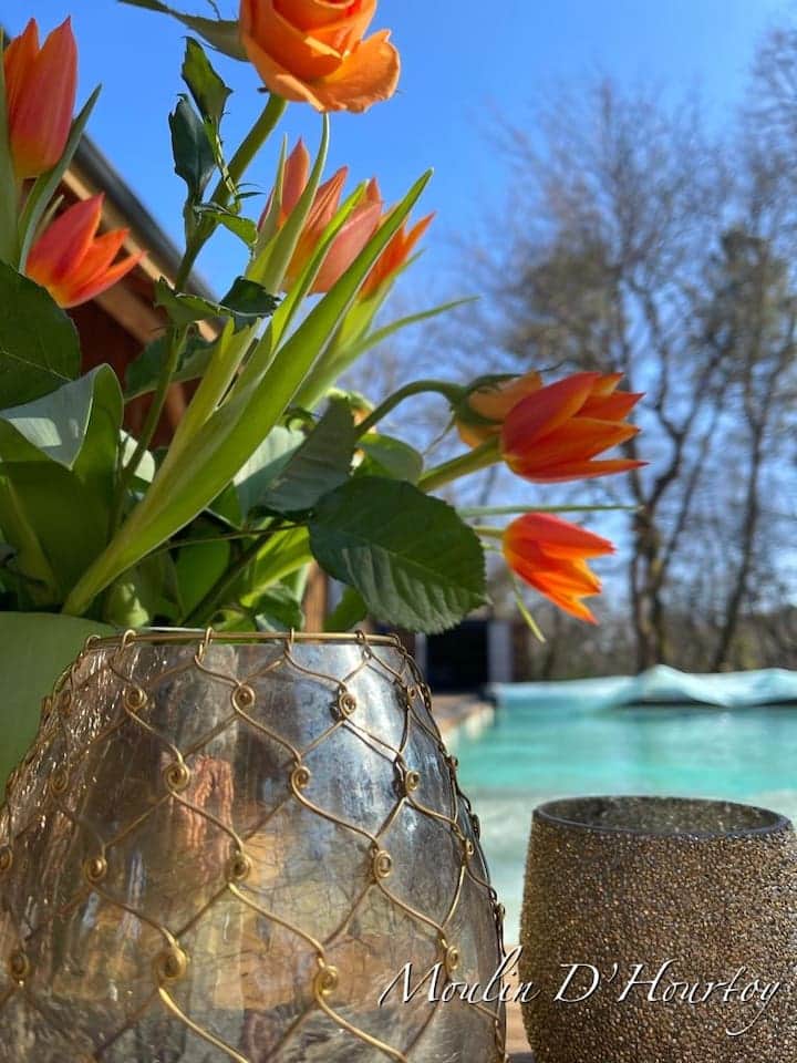 Piscine Piscine