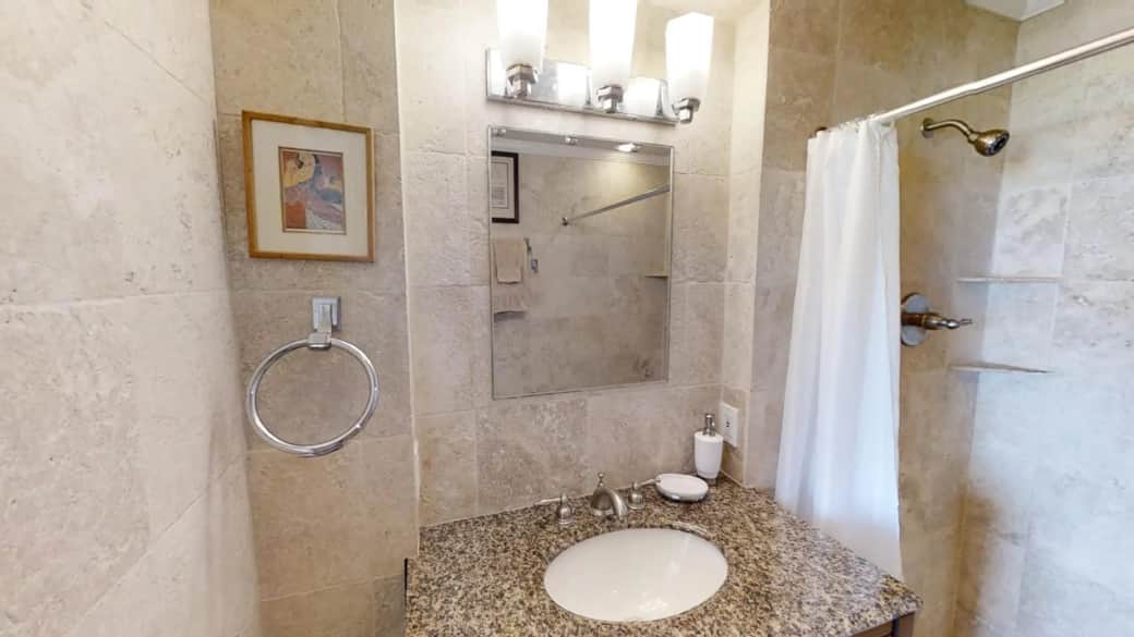 Modern primary bath