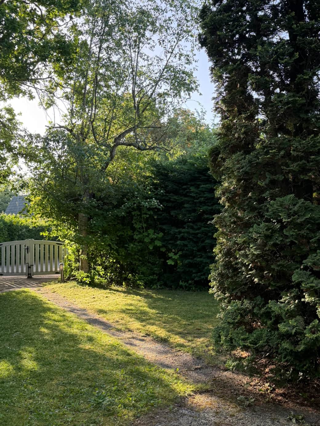 Garten 4