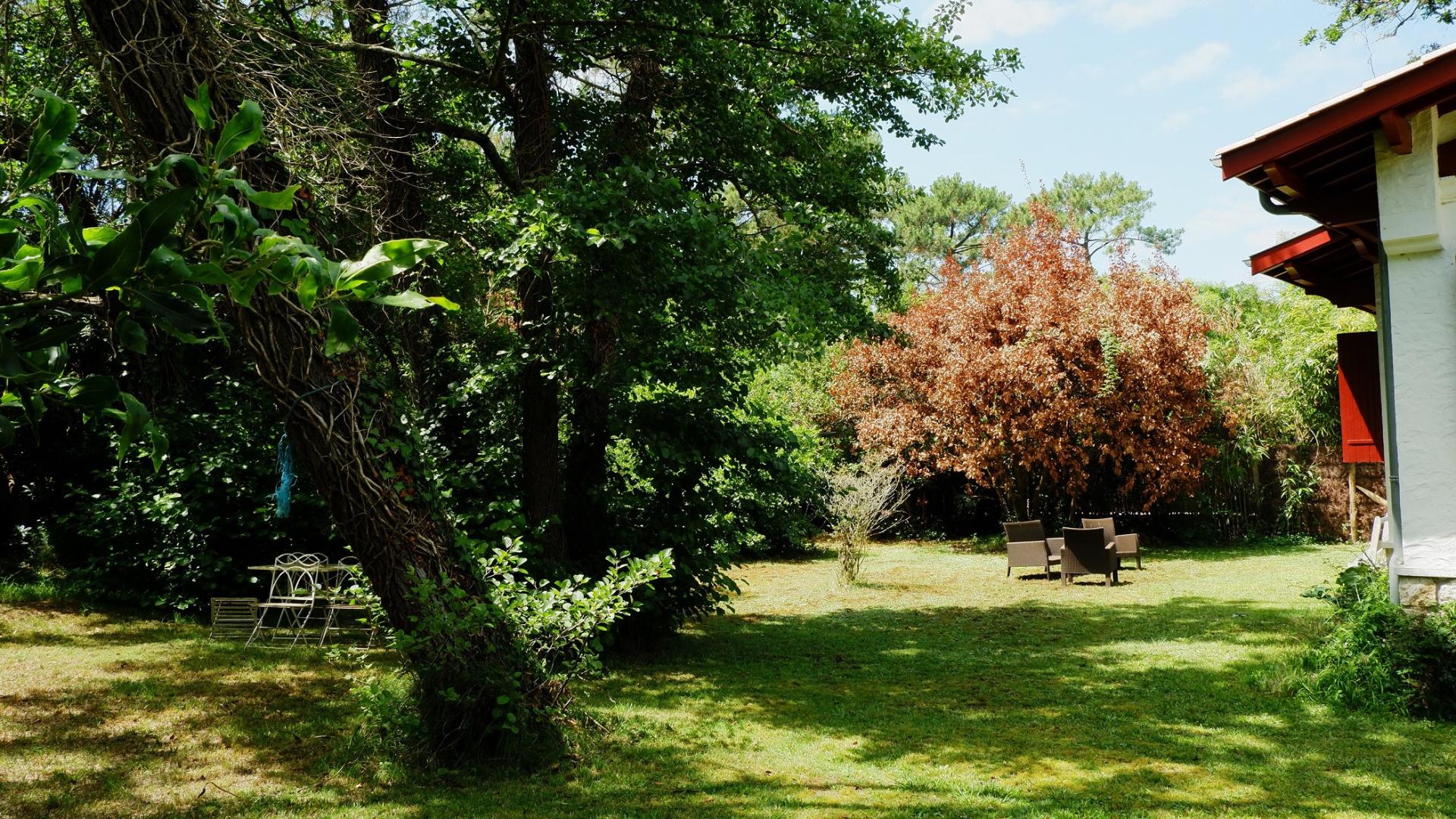 Villa Louise