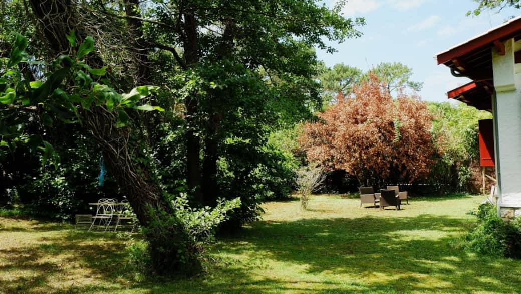 Jardin