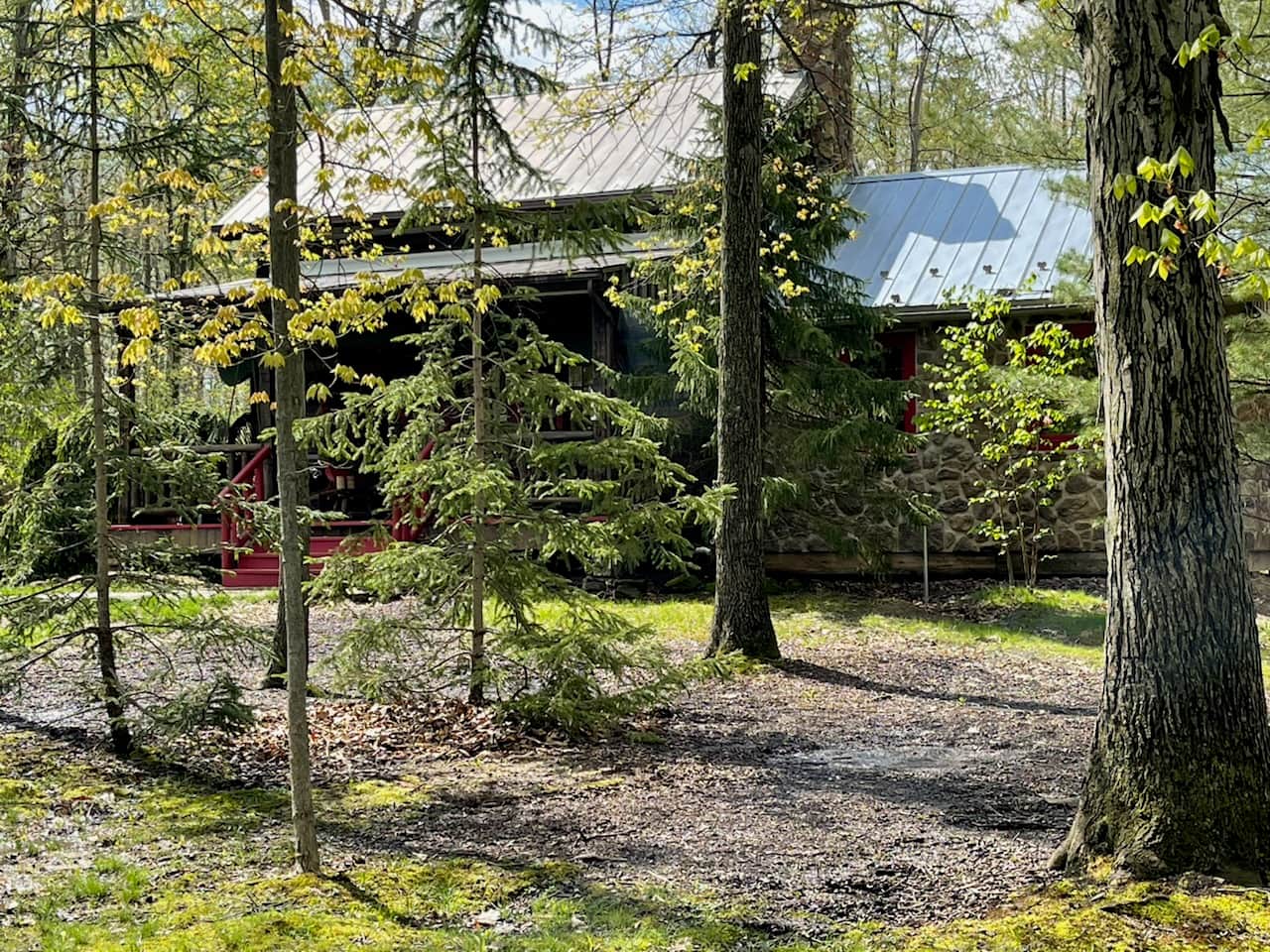 Front of Cabin Spring.jpg