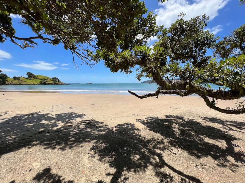 Coopers Beach, Far North, New Zealand, 8 minutes walk from Casa Playa de los osos