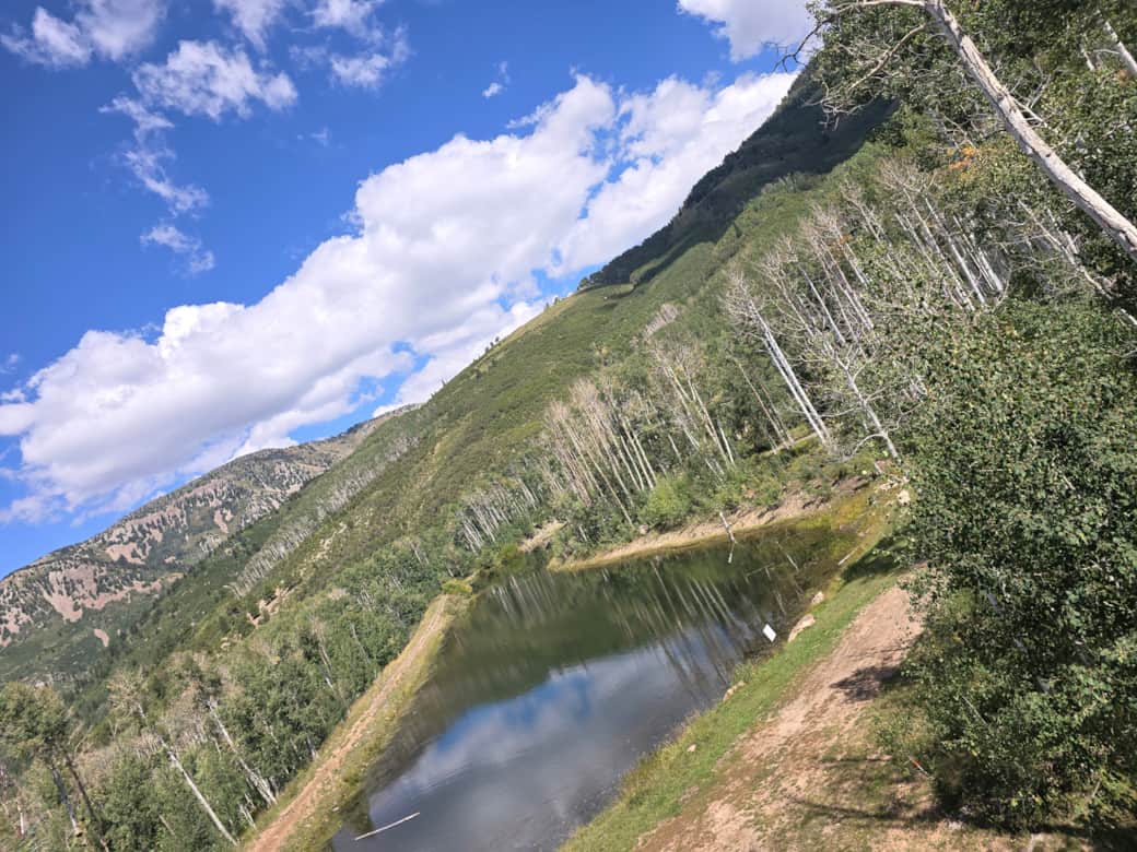 View off deck Lodge