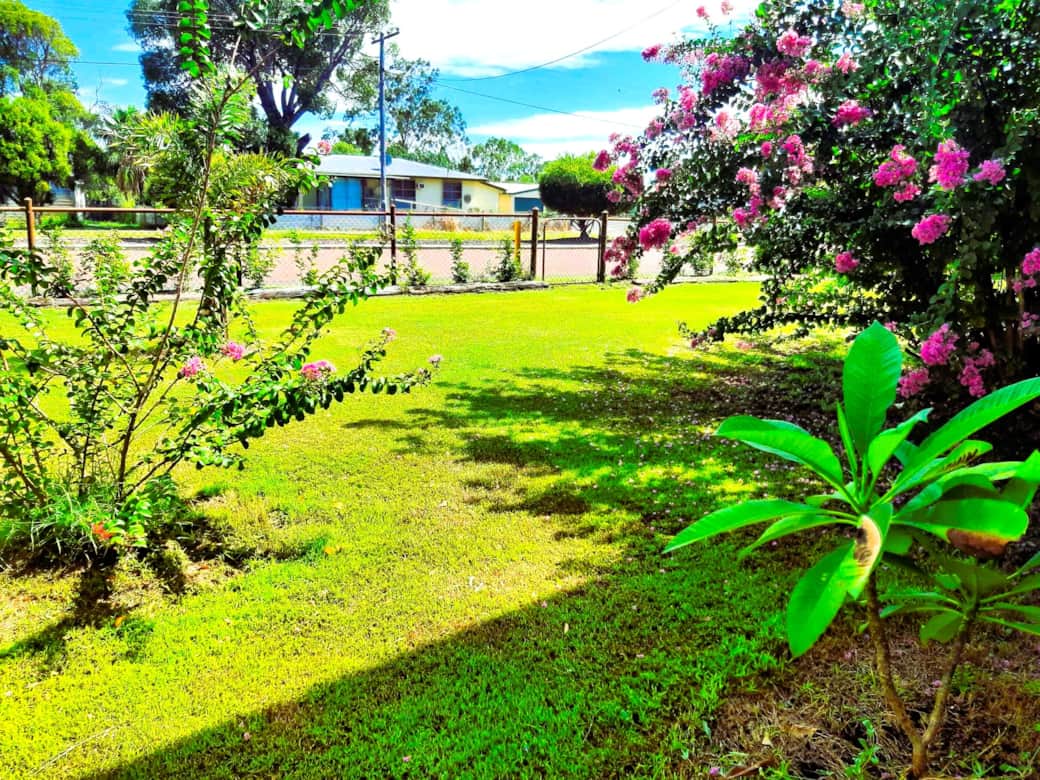 Front lawn and bird attracting gardens Front lawn and bird attracting gardens