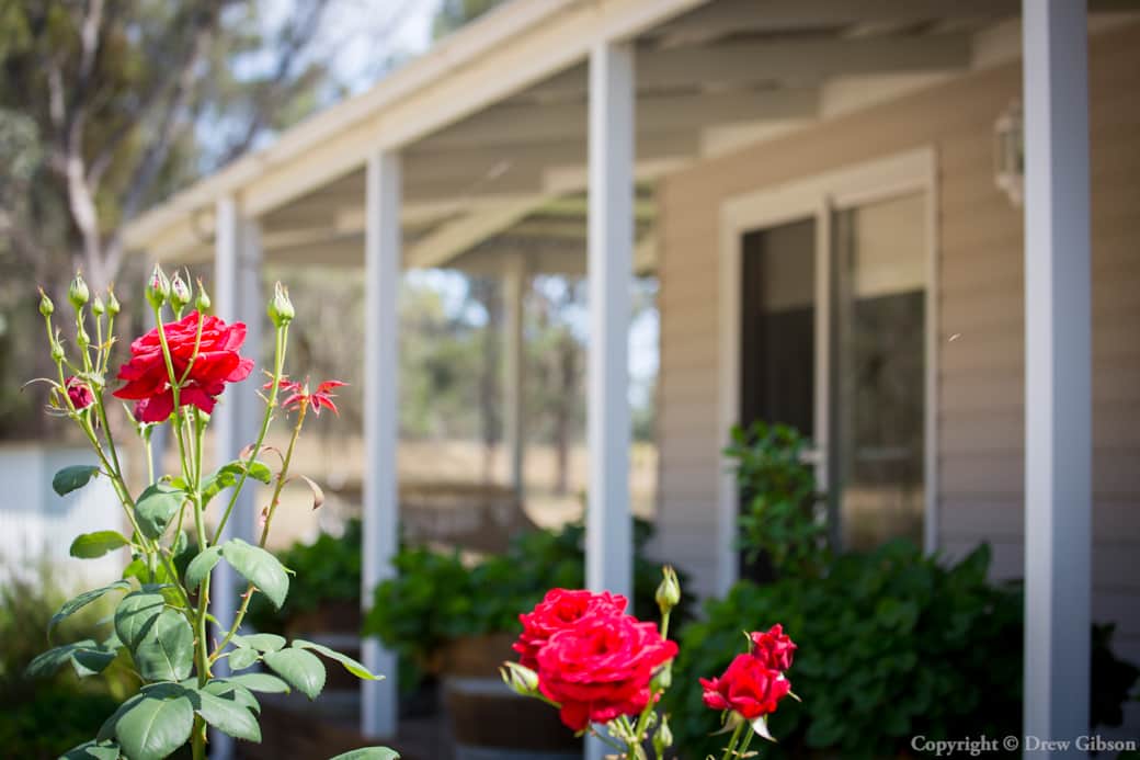 Hunter Moon's gorgeous decks and Gardens