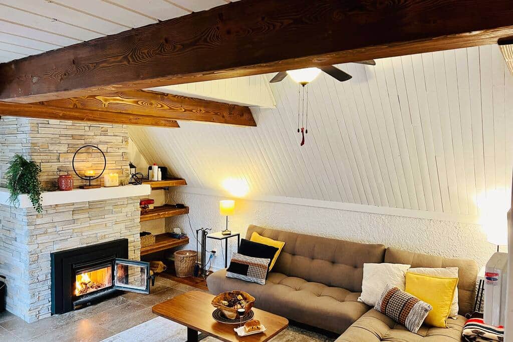 Vue du salon et du foyer au bois 