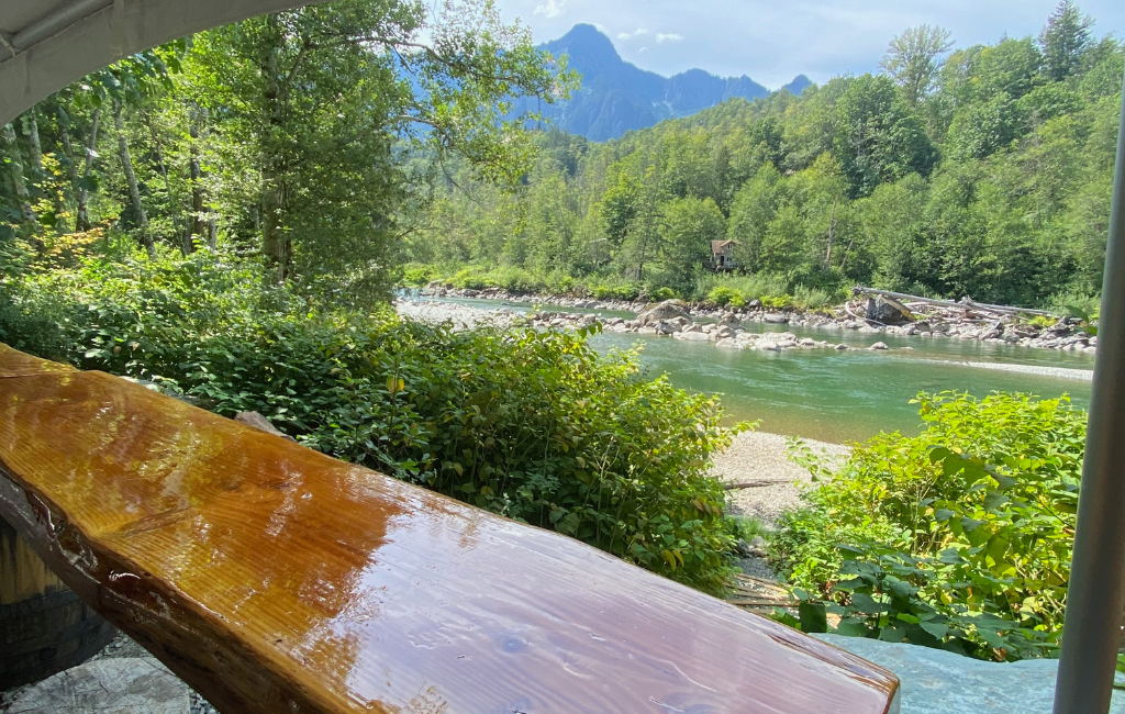 Views across the river from the bar top.
