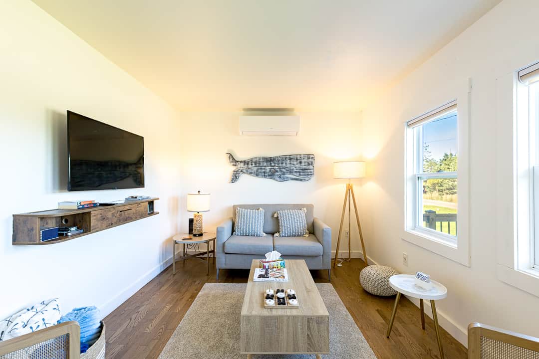 Bright open living area with sofa, TV and lots of natural light