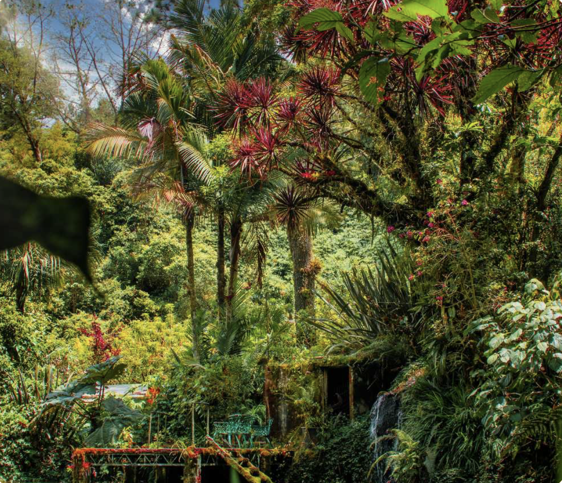 Finca Dracula