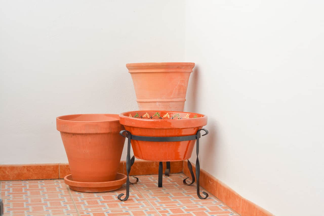 LA FUENTE, FRIGILIANA