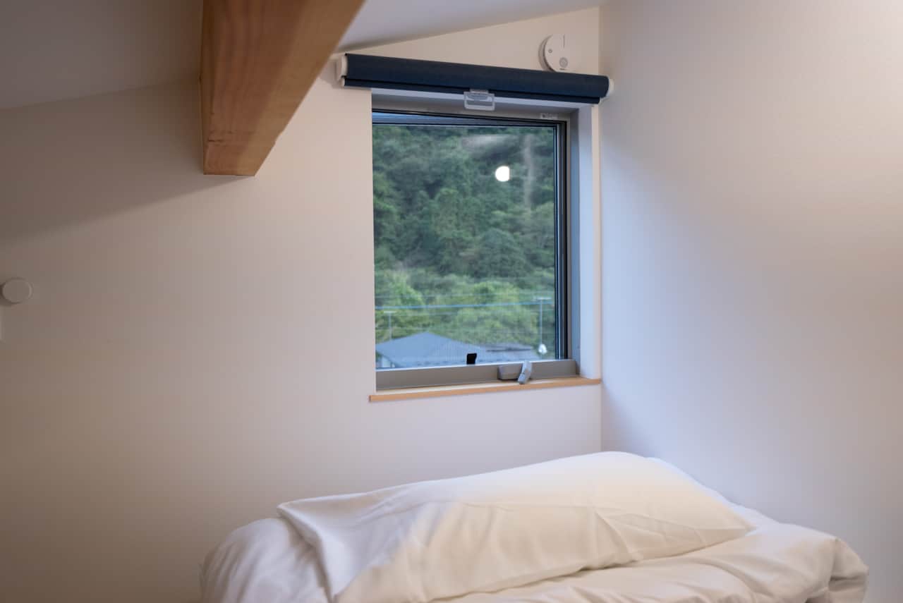 View from Loft Bed