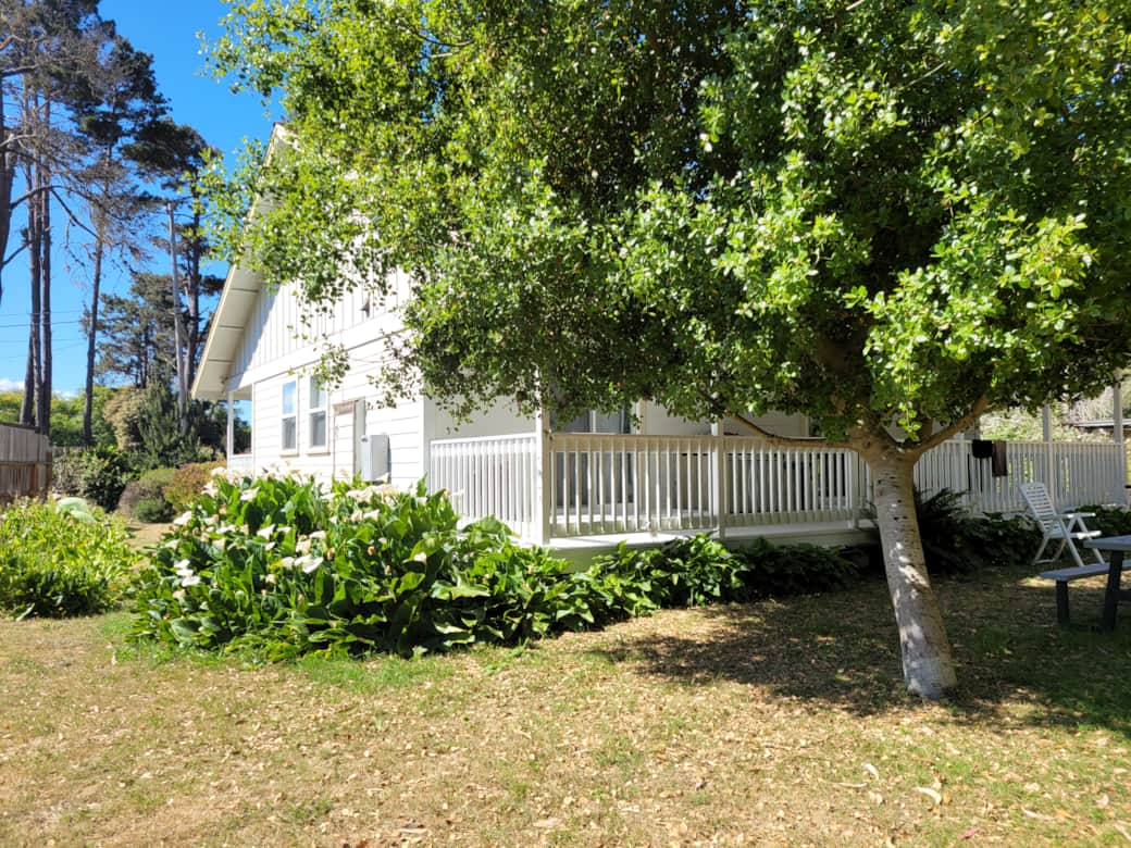 Scc backyard d