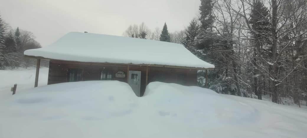 Rose Delima Exterieur Hiver