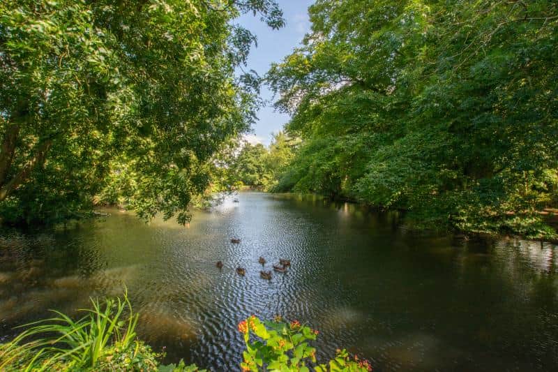 Mill pond from mill
