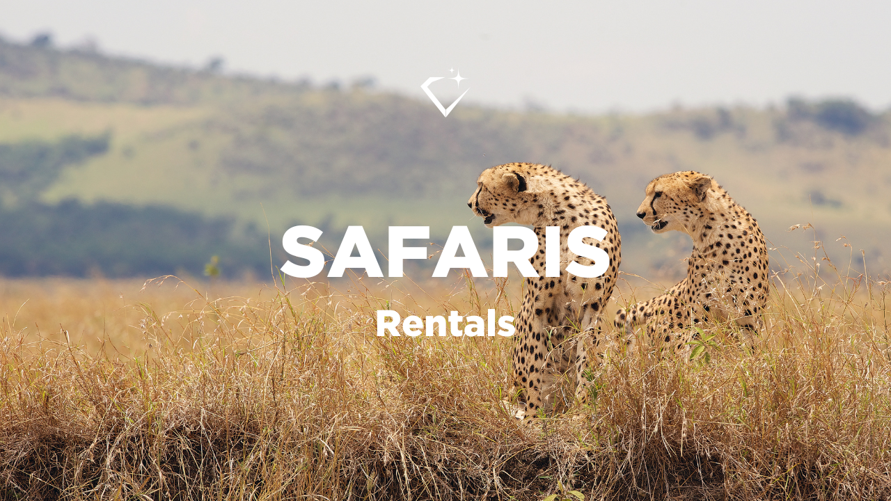 Luxury villa rentals for Safaris