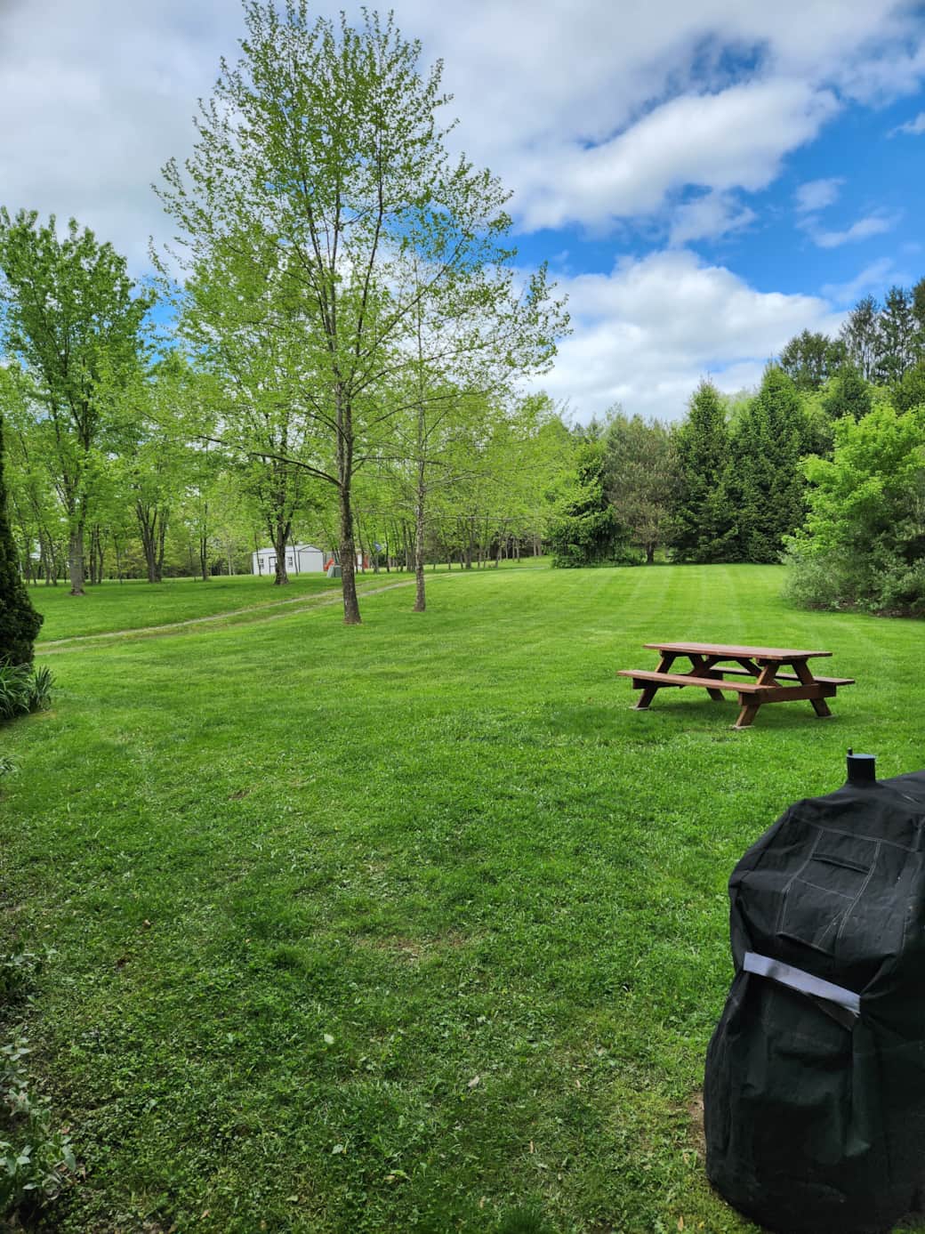 Side Yard Picnic Table