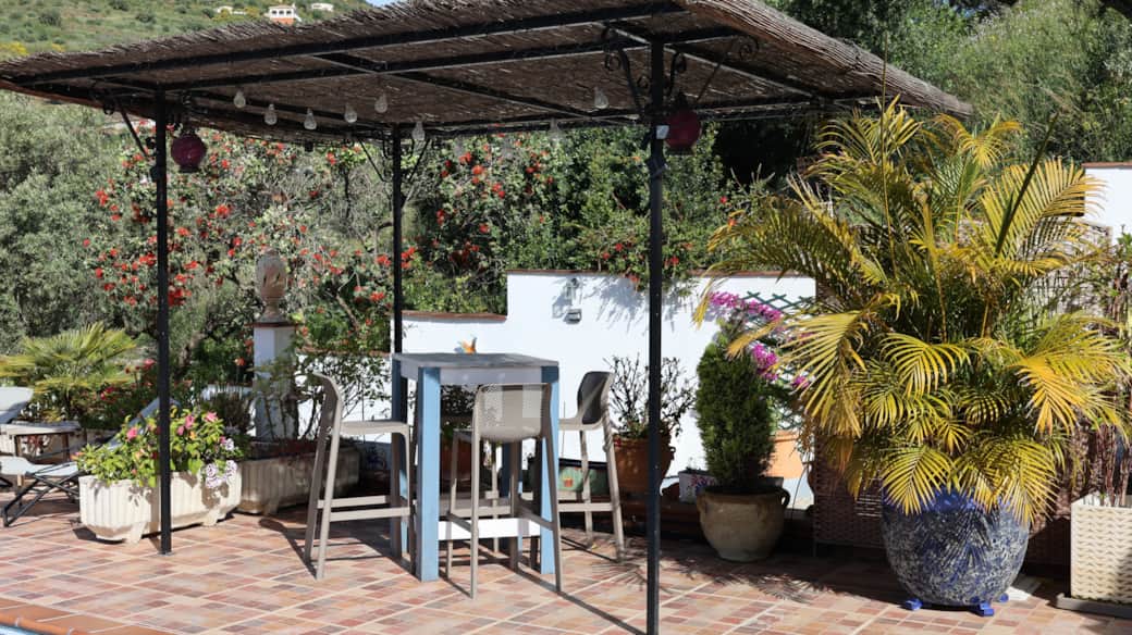 Terras 4