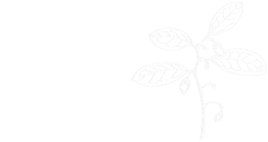 Wintergreen Studios