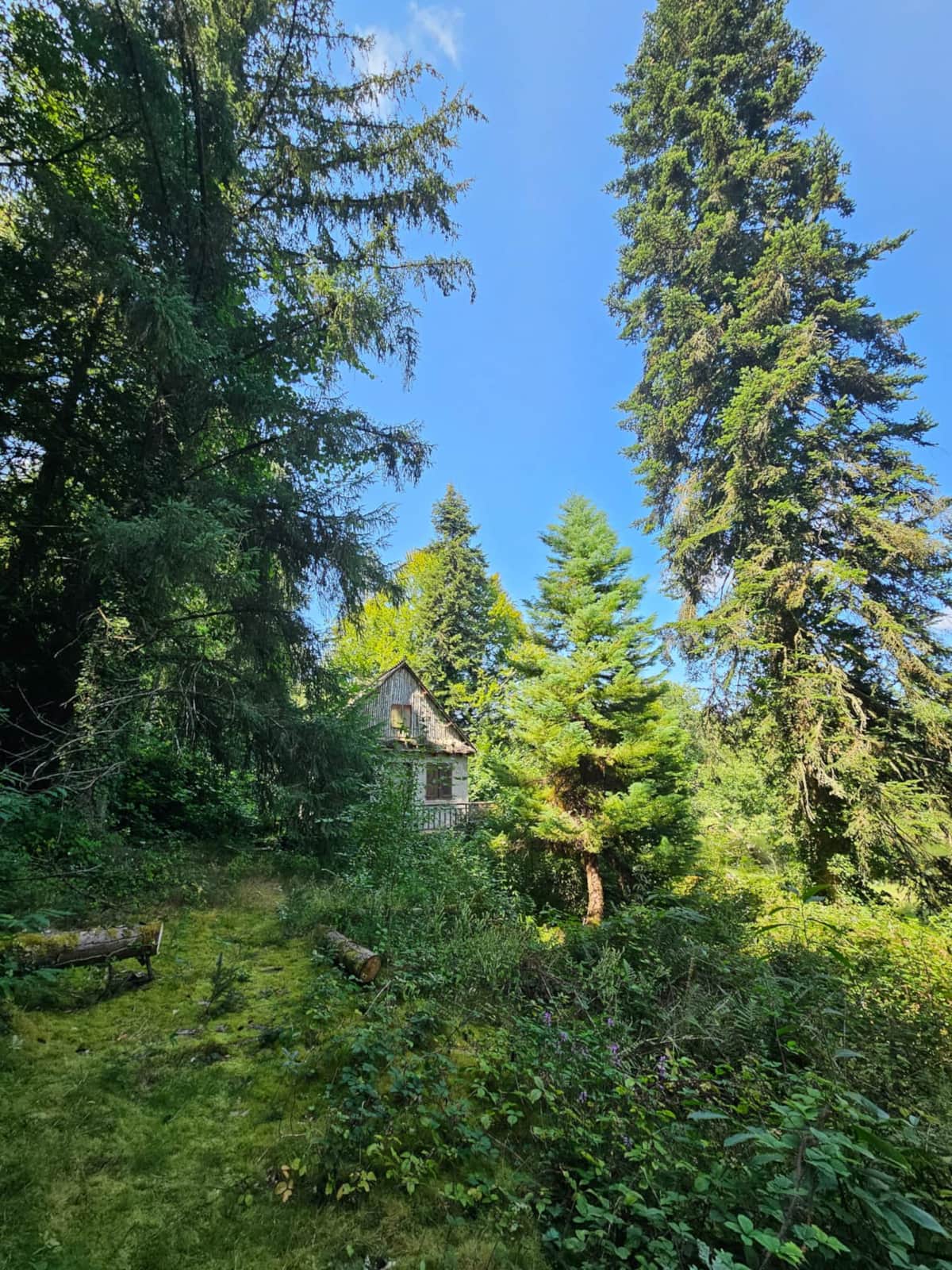 Le Roche Bleu Le Rocher Bleu - Ecologîte