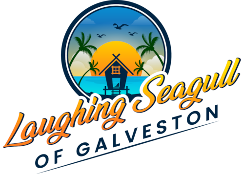 Laughing Seagull of Galveston