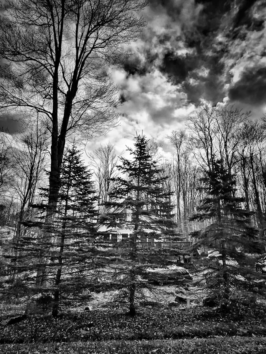 Three Pines Chalet