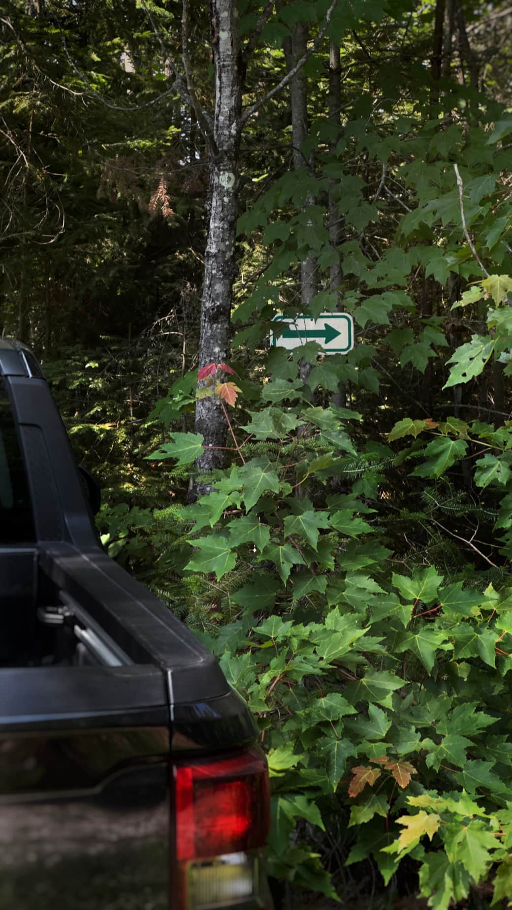 Parking - Path to the cabin